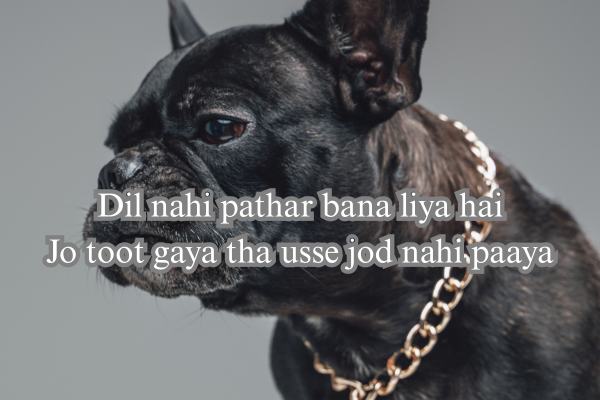Heartless Gangster Shayari for Boys