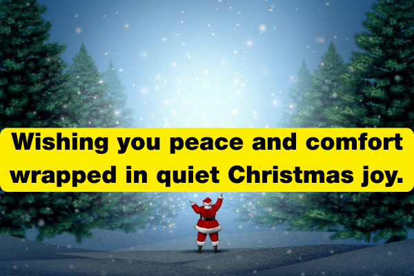 Christmas Wishes in English