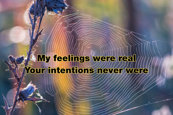 Sad Love Shayari in English