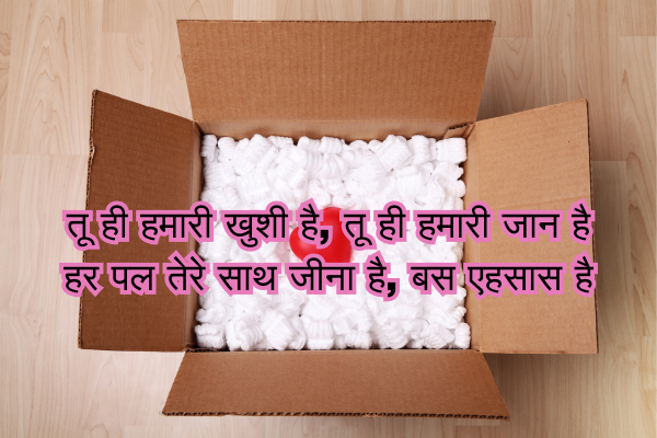  Love Attitude Shayari in Punjabi