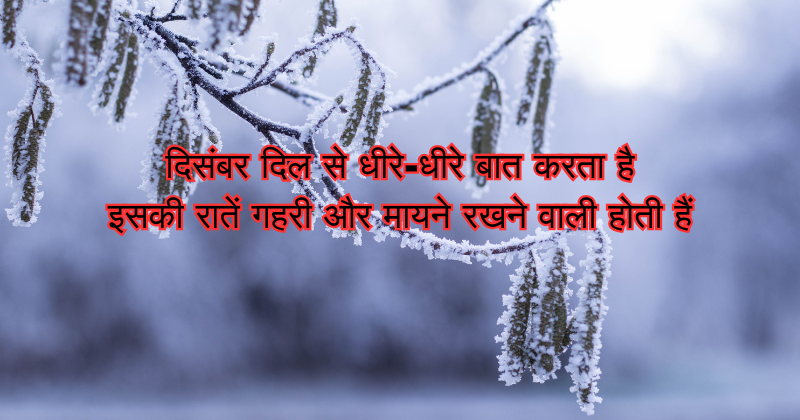 December Shayari in Hindi and English