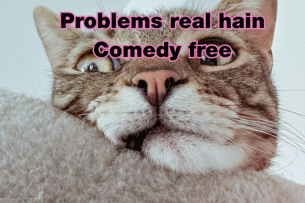 Funny Shayari in English