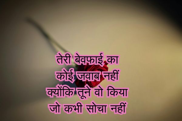 Bewafa Shayari in Hindi