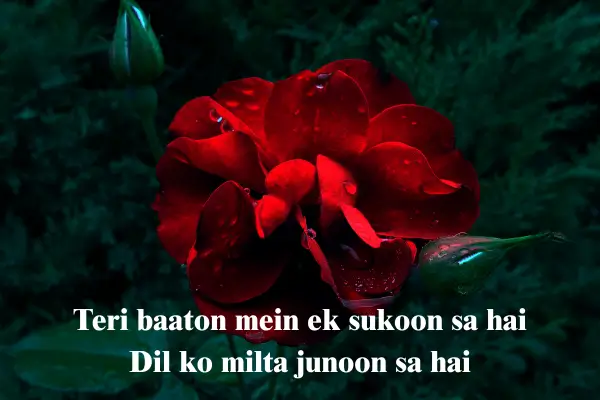 2 line love shayari in english