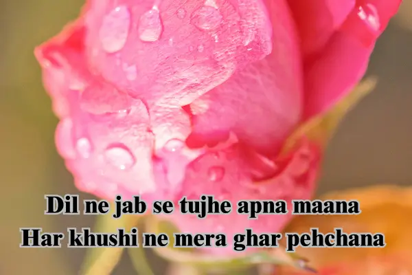 2 line love shayari in english