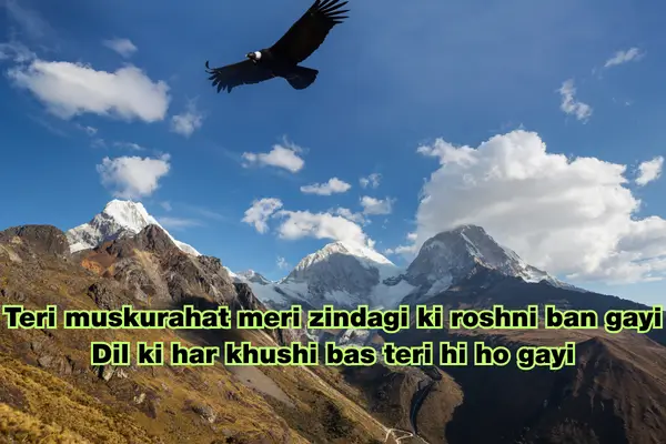 2 line love shayari in english