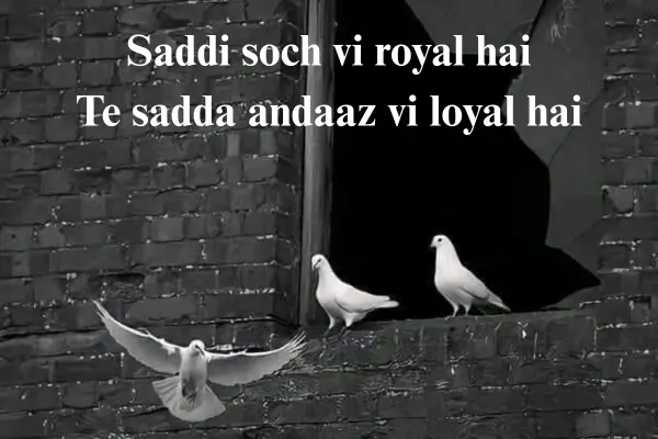 Attitude Status for Girls