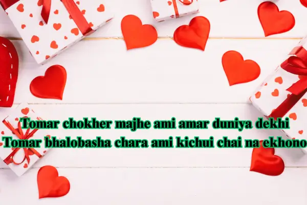 bengali love shayari