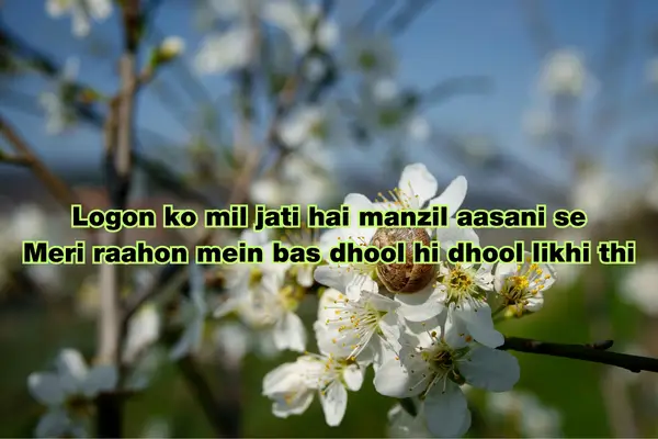 bad kismat shayari