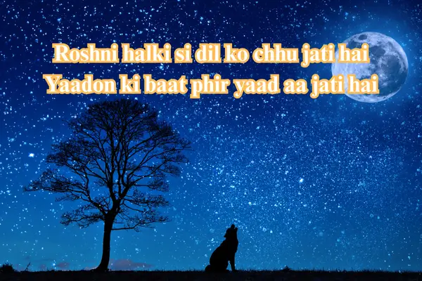 chand shayari 2 line