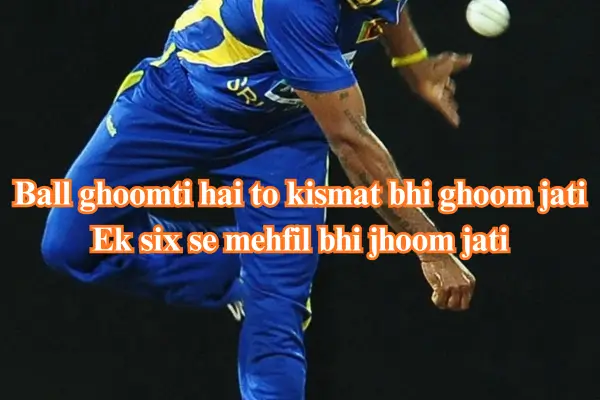 cricket shayari
