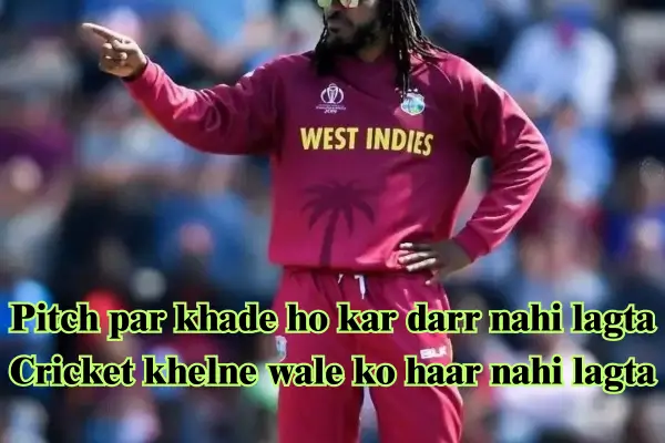 cricket shayari