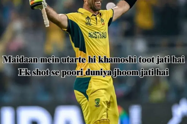 cricket shayari