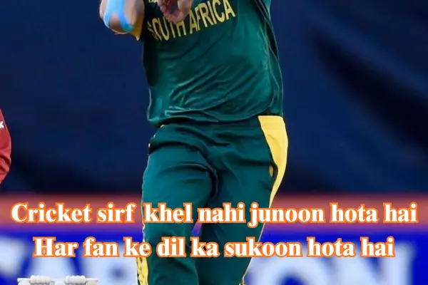 cricket shayari