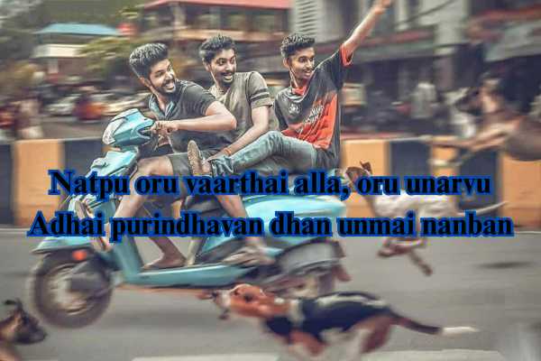 friendship quotes in tamil