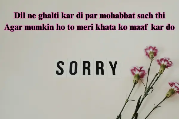 sorry shayari in english