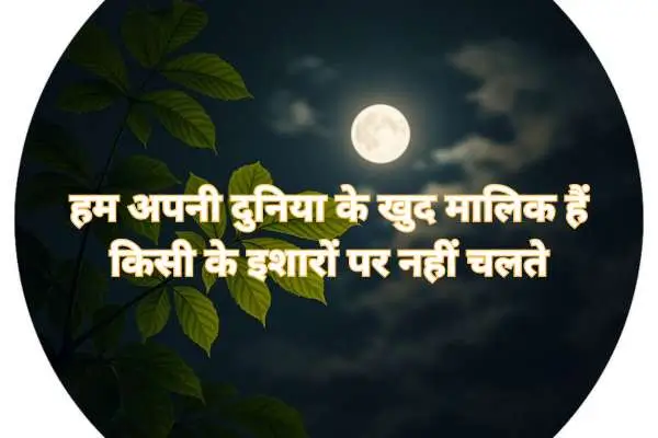 instagram bio shayari hindi