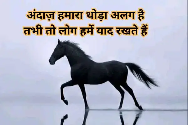 instagram bio shayari hindi