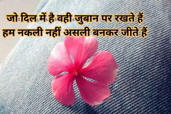 instagram bio shayari hindi